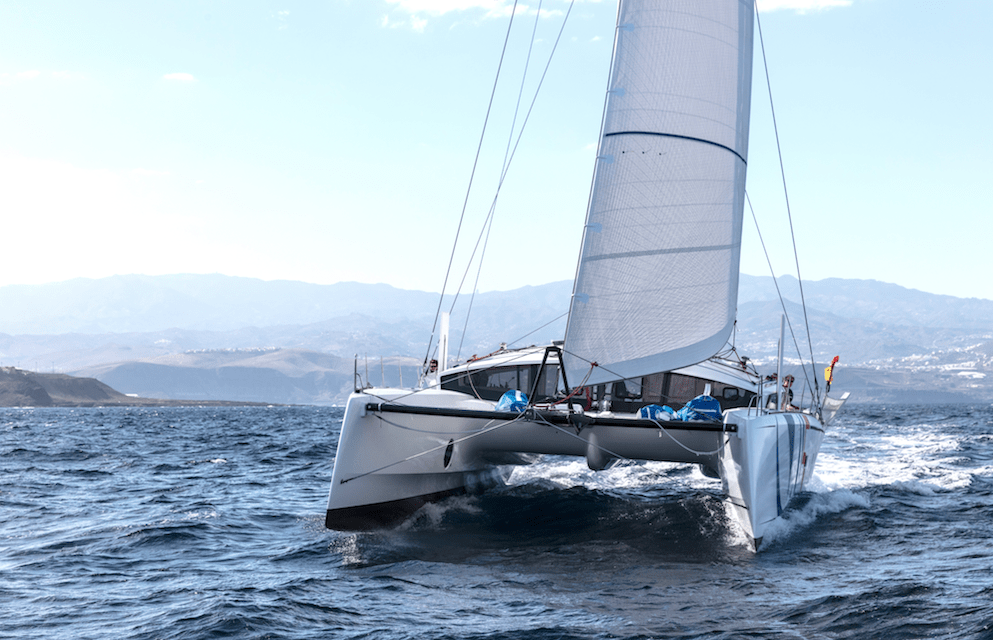 racing sailing catamaran