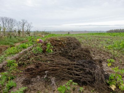 Flexi Sailing DemeyDieter 20231112 Chantier 019