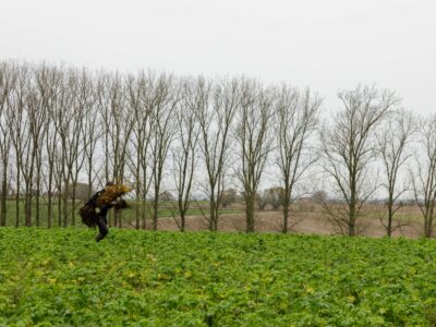 Flexi Sailing DemeyDieter 20231112 Chantier 124