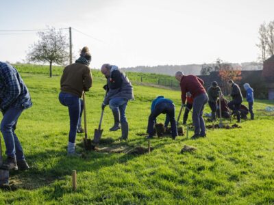 Flexi Sailing Demey Dieter 20221126 Plantations 064 1